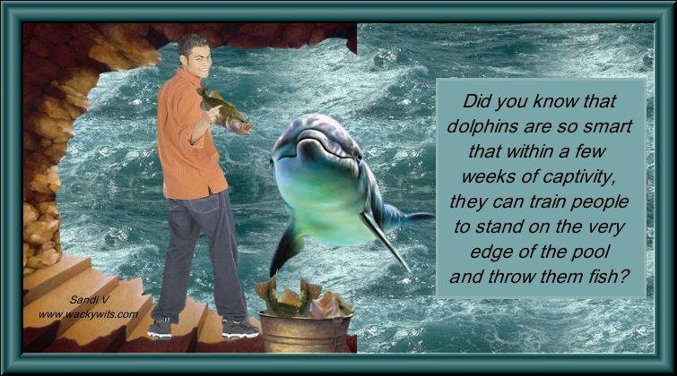Stan Budz's album, Timeline Photos