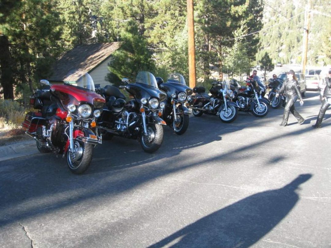 William Carson's album, Street Vibrations 2010