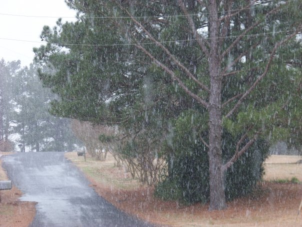 Gary Gardner's album, Snow