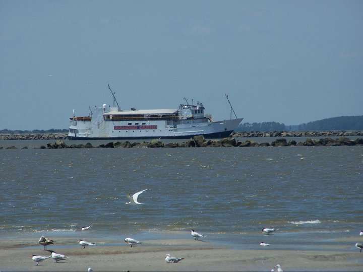 Dennis Messer's album, May 22, 2011