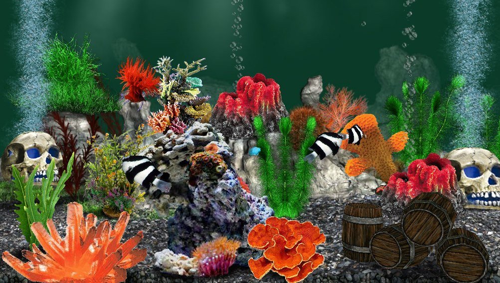 Rose Howell's album, AquaLife 3D Photos