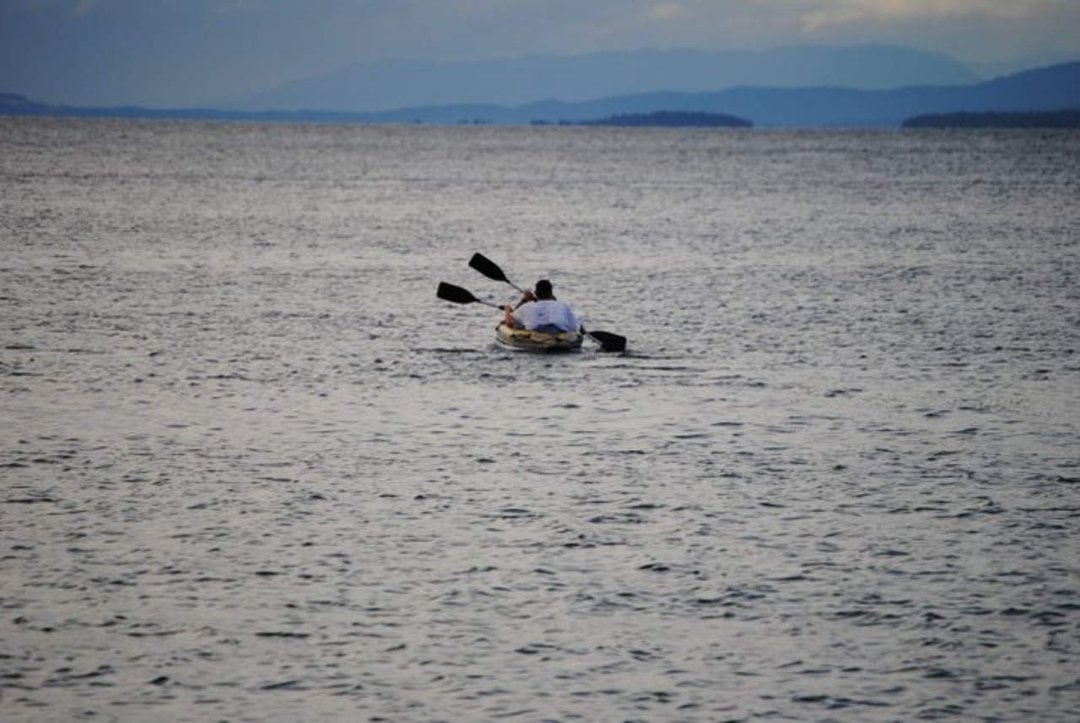 Rick Rozon's album, Parksville 2011