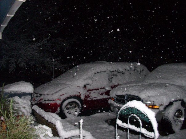 Donald Austin's album, Feb 2010 Snow