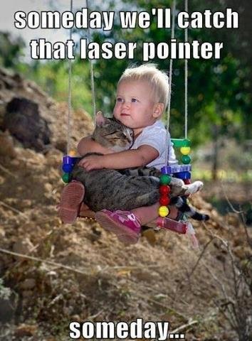 Steven Smith's album, Timeline Photos