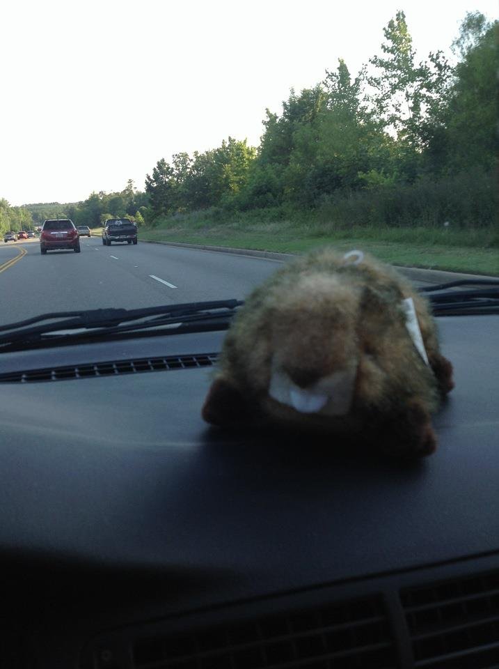Kevin Scott's album, Mobile Uploads