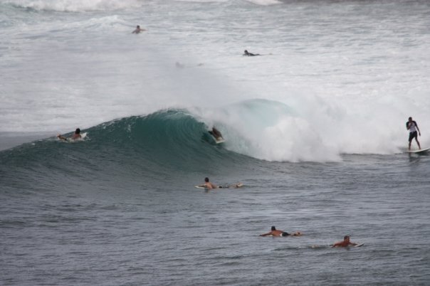Mike Davis' album, a couple shots of honolua bay