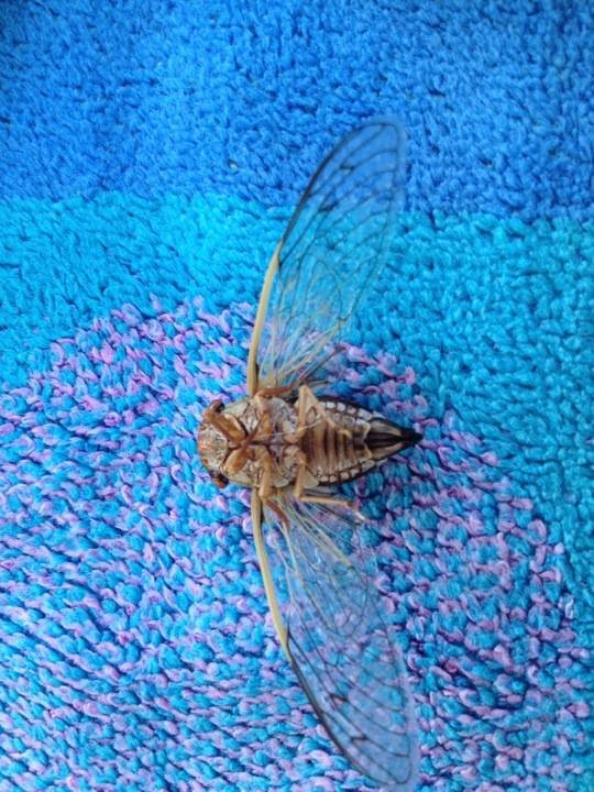 Guy Turley's album, iOS Photos