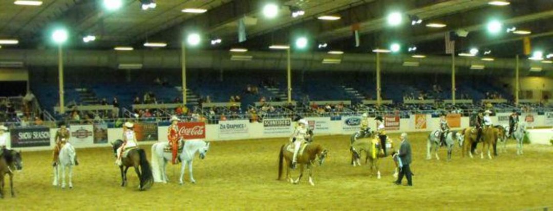 Janice Andersen's album, Arabian Horse Show 2013