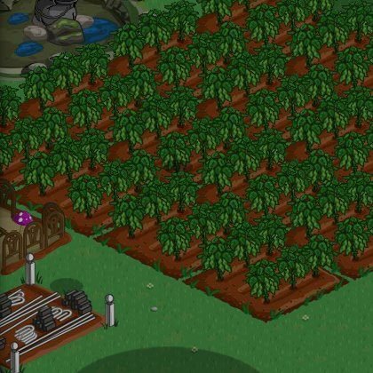 David Schmieding's album, FarmVille Photos
