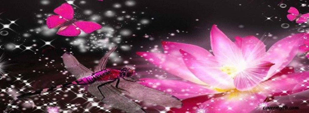 Marla Morrison's album, Cover Photos