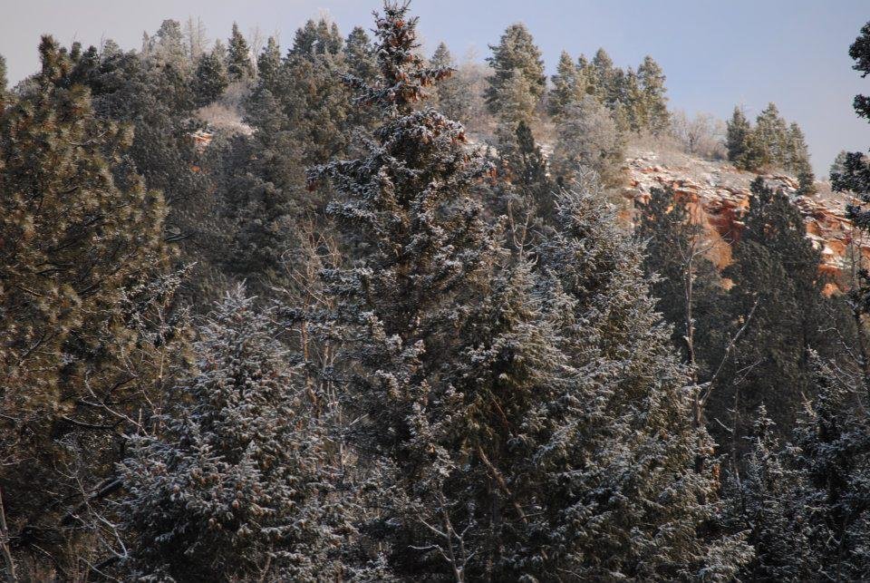 Nicholas Williamson's album, Dunton, CO