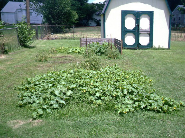 Larry Edwards' album, house and garden