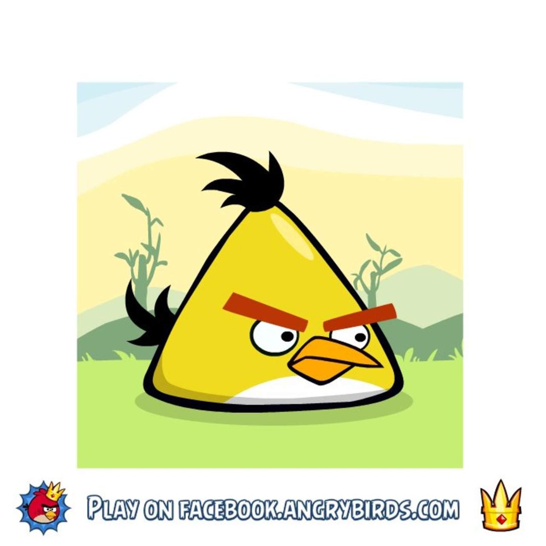 Tom Cumber's album, Angry Birds Friends Photos