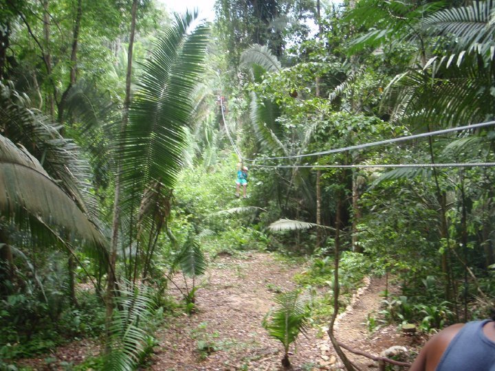 Scott Avery's album, Belize April 2010