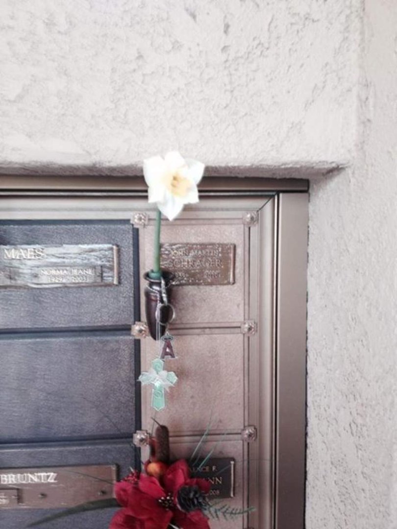 Susan Schrader's album, Mobile Uploads