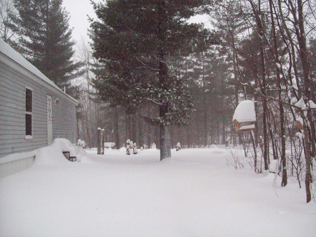 Paulette Koran's album, Winter Wonderland 12-11-10