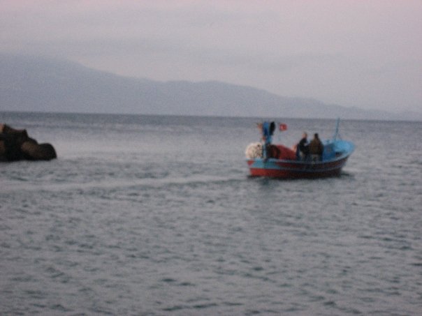 Michael Fryd's album, Turkey