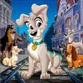 Tracie Benthin's album, Profile Pictures