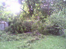 Gilbert Buso's album, After the storm
