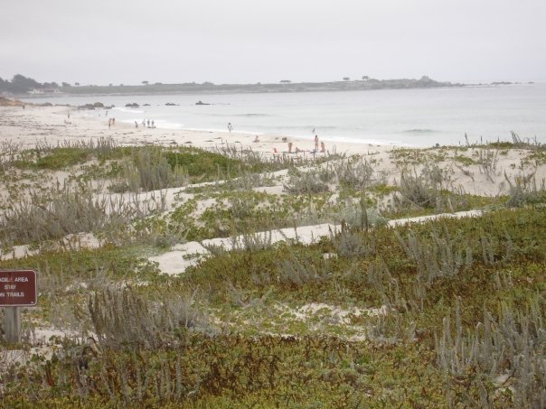 Debbie Clark's album, Asilomar 2009