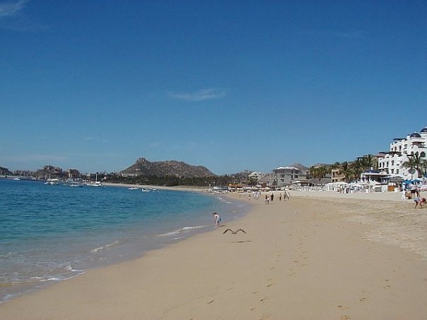 C. Allison Smyth's album, mexico