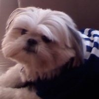 Joseph Kramer's album, Profile Pictures