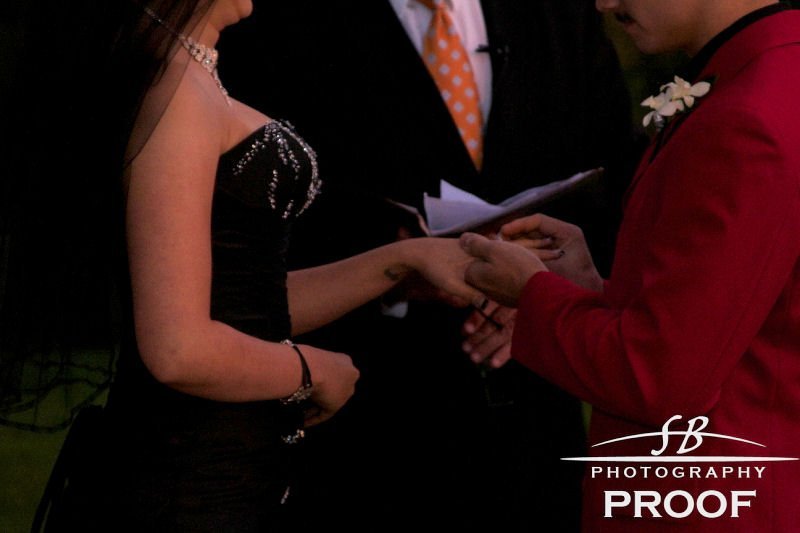 Victoria DeLaO's album, Elyse & Chris' Wedding