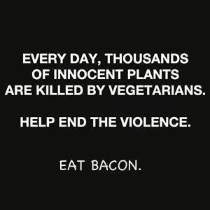 Michael Bongner's album, Timeline Photos
