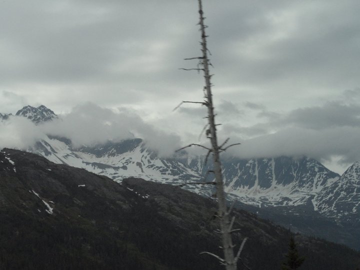 Jane Bedard's album, Alaska