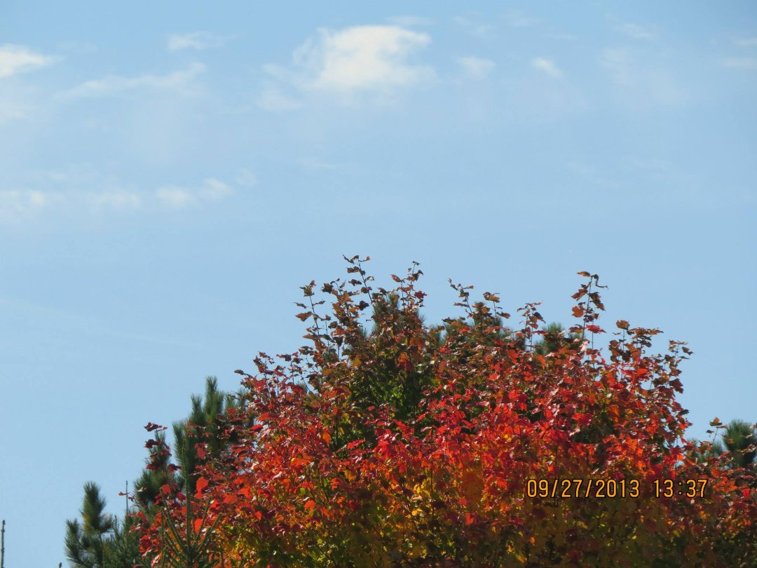 Mike Ivey's album, September 2013