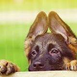 Paul Cricks' album, Timeline Photos