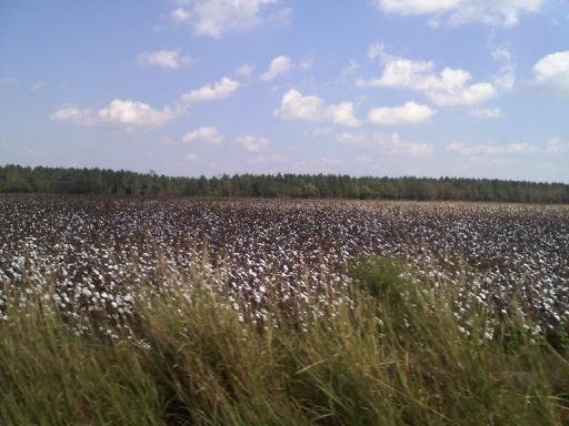Brenda Wickwire's album, North Carolina 2012
