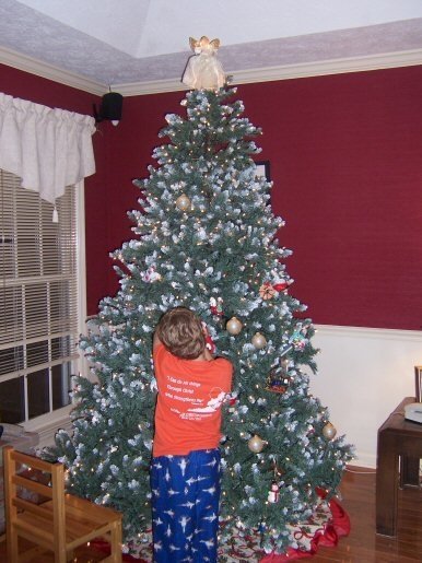 Amy Lewark's album, Christmas 2008
