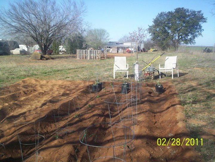 Sandy Shodeen's album, Garden Party for 2011 (Feb-Mar)