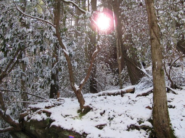 Tom Hellgeth's album, Snow time at Rogers Creek