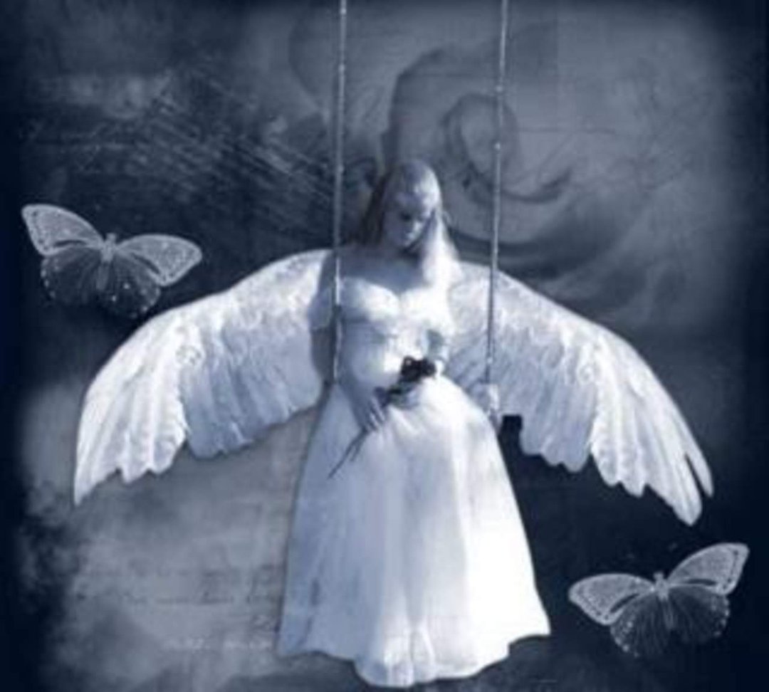 Orpha Gibson's album, Angel HuG foR YOU Photos