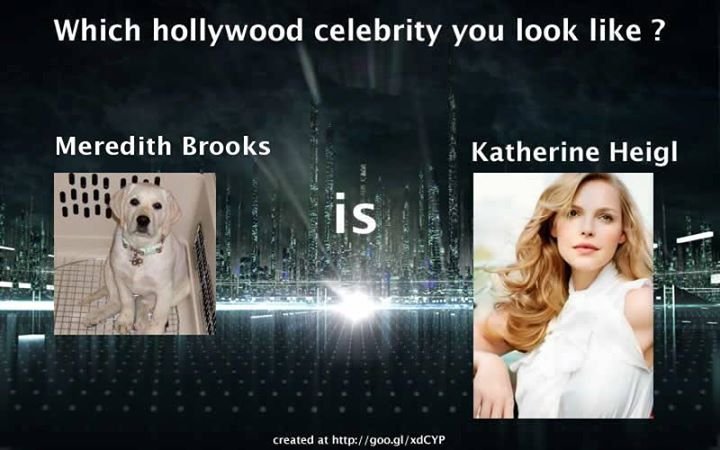 Meredith Brooks' album, Hollywood Celebrity
