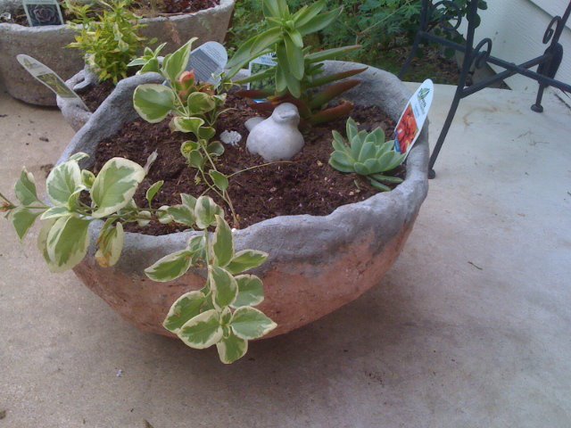 Judy Sunderman's album, The Pebbled Garden