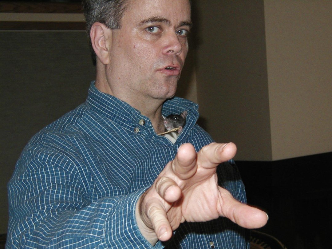 Paul Timothy Sheehan's album, Profile Pictures