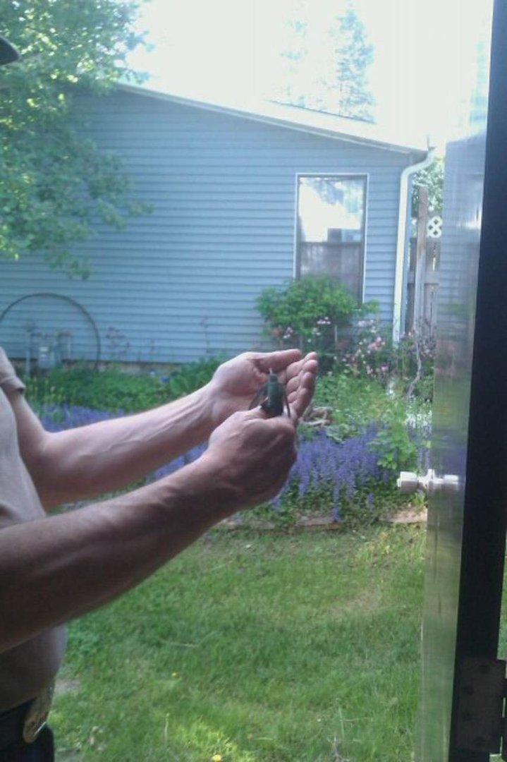 Chuck Erickson's album, Mobile Uploads