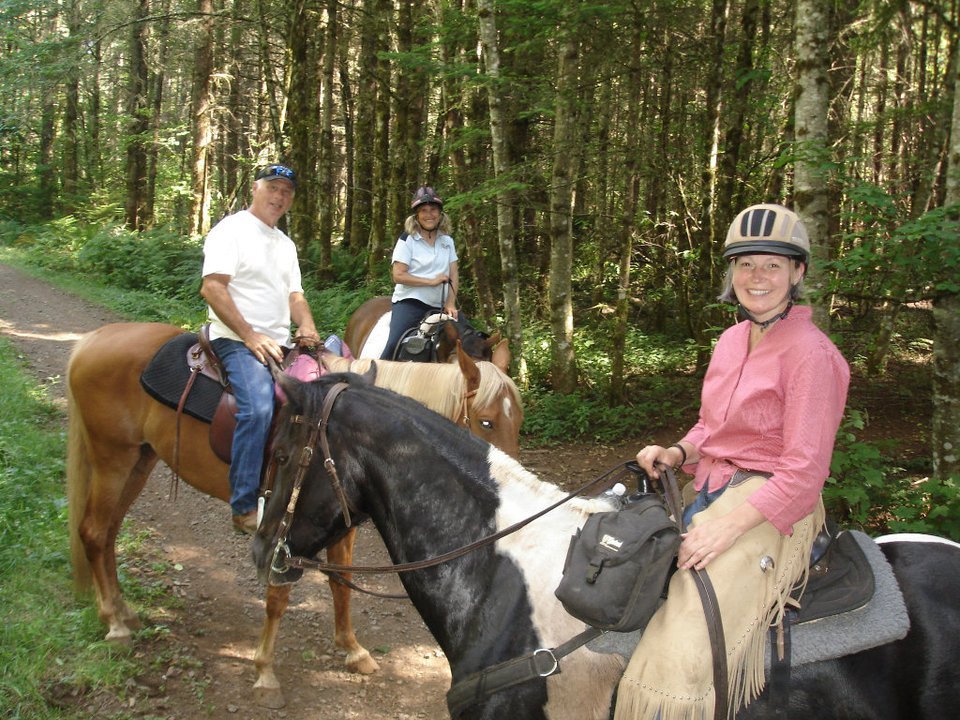 Carla Swearingen's album, August 2011 Horses