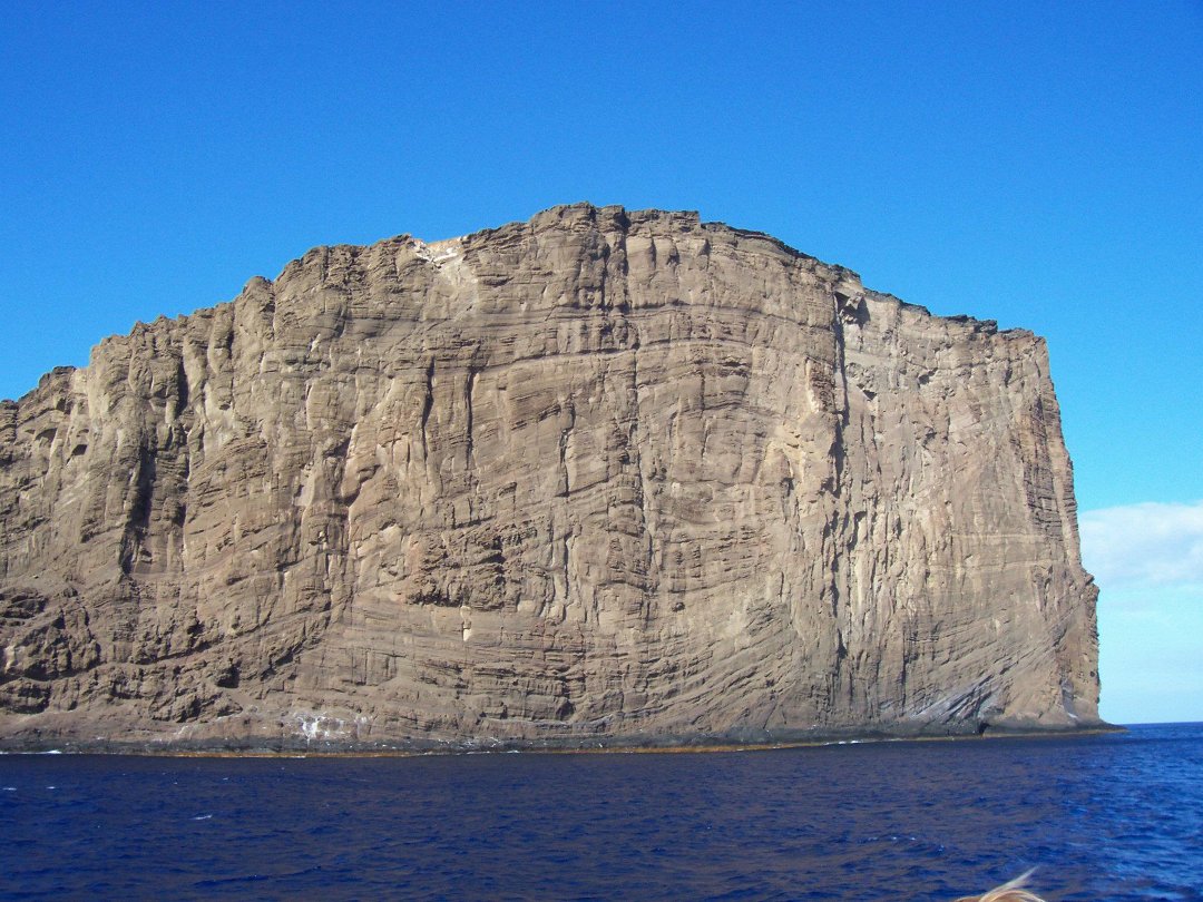 John Ayres' album, Isla Guadalupe