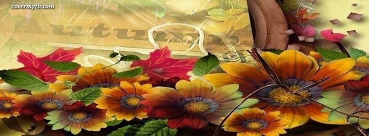 Coreen Murphy's album, CoverMyFb.com - Facebook Profile Covers