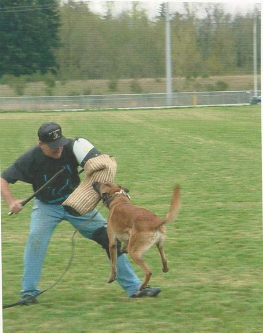 Ray Blomberg's album, Working Dogs