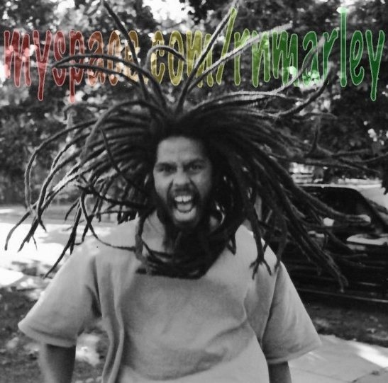 Robert Marley's album, Profile Pictures