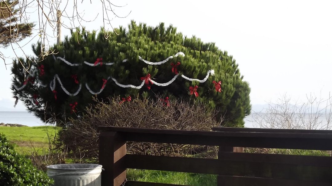jonathan smallwood's album, Timeline Photos