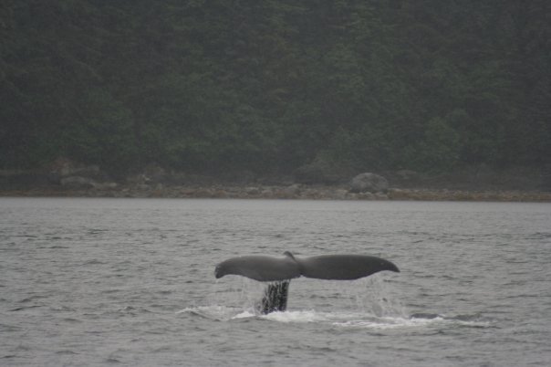 Jeff Juneman's album, Alaska