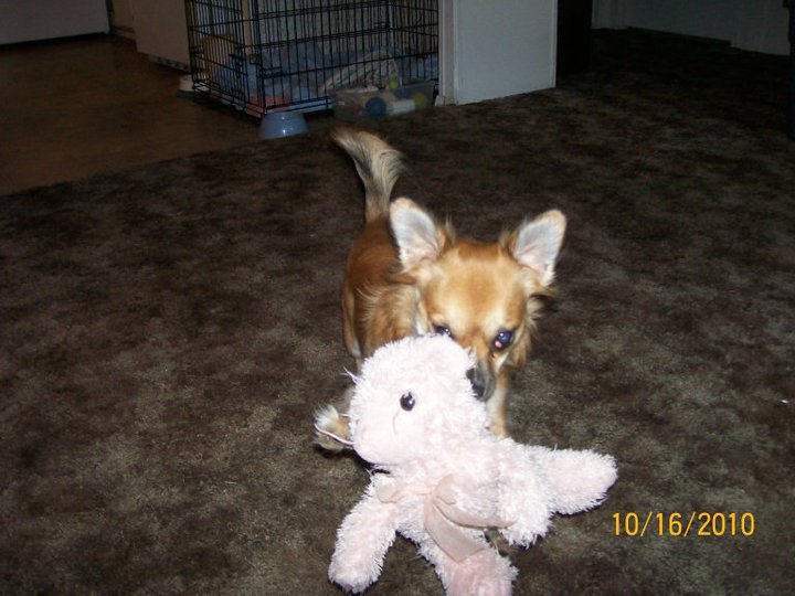 Ronalee Anderson's album, February 10, 2011