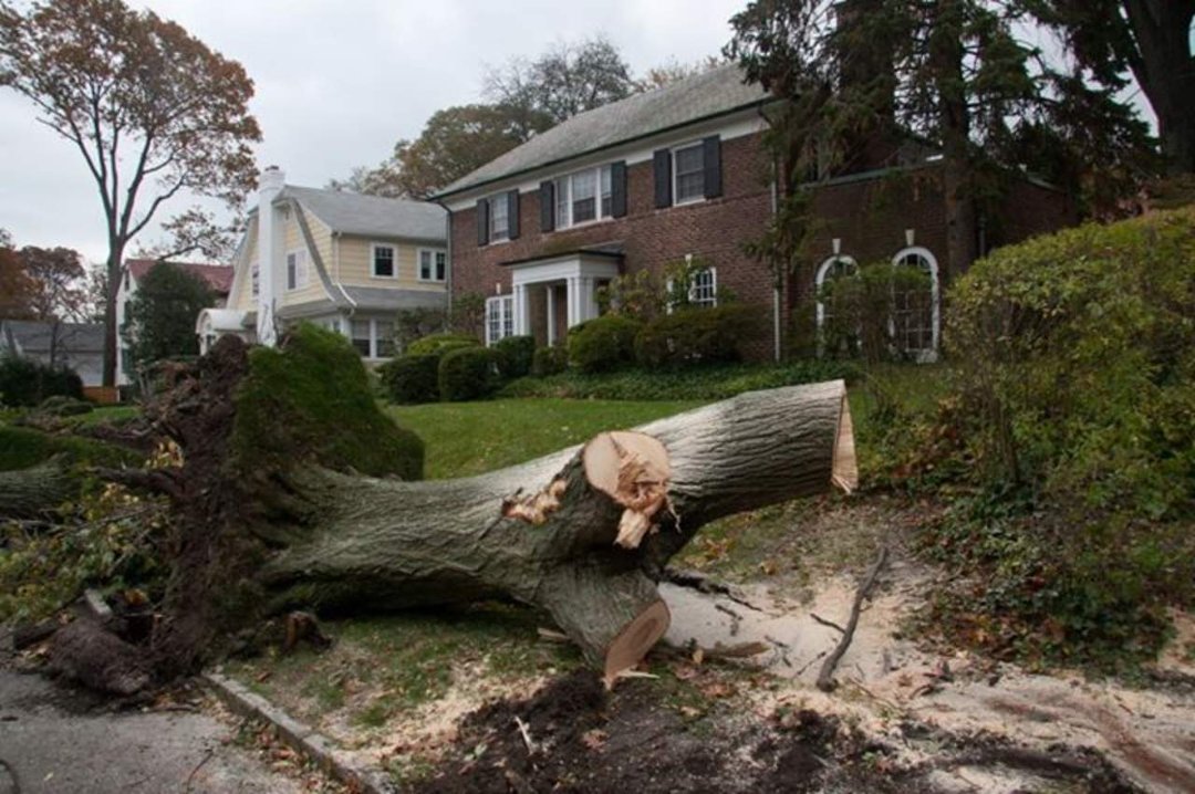 Thomas Bricker's album, Hurricane Sandy Visits the Brickers