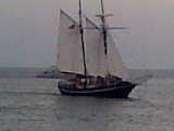 David Templeton's album, Key West and other adventures!
